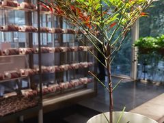 -一澜江宴·江景地标楚菜(江滩公园店)