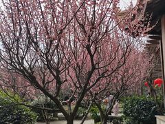 -雨花胜境