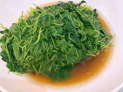 -新聚丰菜馆(太监弄店)