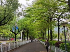 -凤凰山公园-龙王古庙