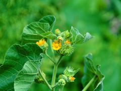 -青藏高原自然博物馆