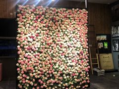 -百好乐宠物友好餐厅(朝外大街店)