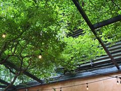 -夏朵餐厅(丁香店)