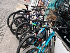 -GIANT捷安特自行车专卖店(金桥台儿庄路店)