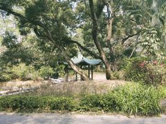 -九龙公园