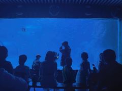 -左海海底世界