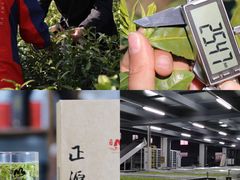 -正源安吉白茶特产享购商场(安吉店)