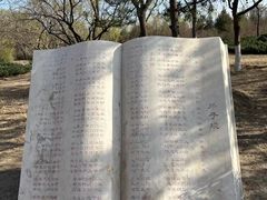 -太阳宫公园