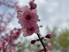 -仁和公园(顺义区)