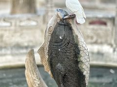 -西安大兴善寺
