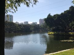 -晓港公园