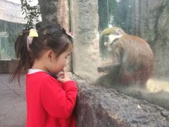 -南昌动物园