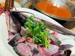 -老凯俚酸汤鱼(东山店)