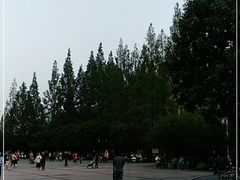 -郑和公园