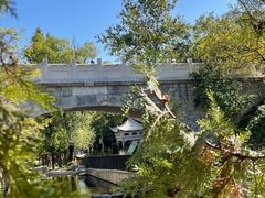 -白水寺森林公园