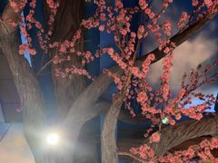 -文楼·淮扬菜·淮安早茶(河下古镇翔宇店)