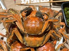 -星伦多自助料理(爱琴海店)