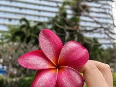 -三亚亚特兰蒂斯度假区