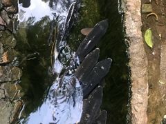 -竹泉村旅游度假区