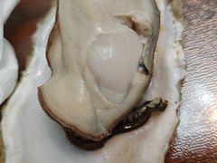 -人和啤酒屋海鲜大排档(营口路店)