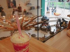 -飞行喵MR PILOT|猫舍·猫咖(静安大融城店)