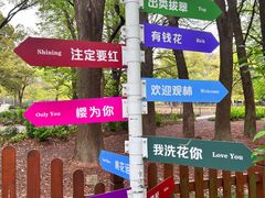 -上海共青森林公园