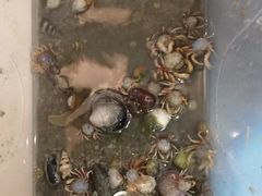 -北海金海湾红树林生态旅游区