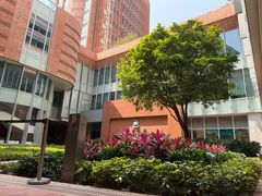 -香港大学
