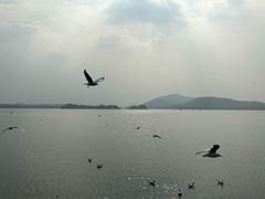 -无锡蠡湖国家湿地公园-蠡园