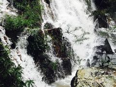-呀诺达热带雨林