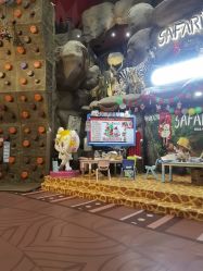 点击看大图 -卡通尼·Safari非洲探索乐园·生日会(金桥国际商业广场店)