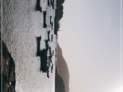 -枸杞岛