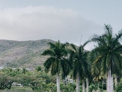 -三亚太阳湾柏悦酒店