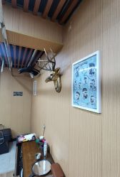 -纯剪男士理发馆·烫染专业店