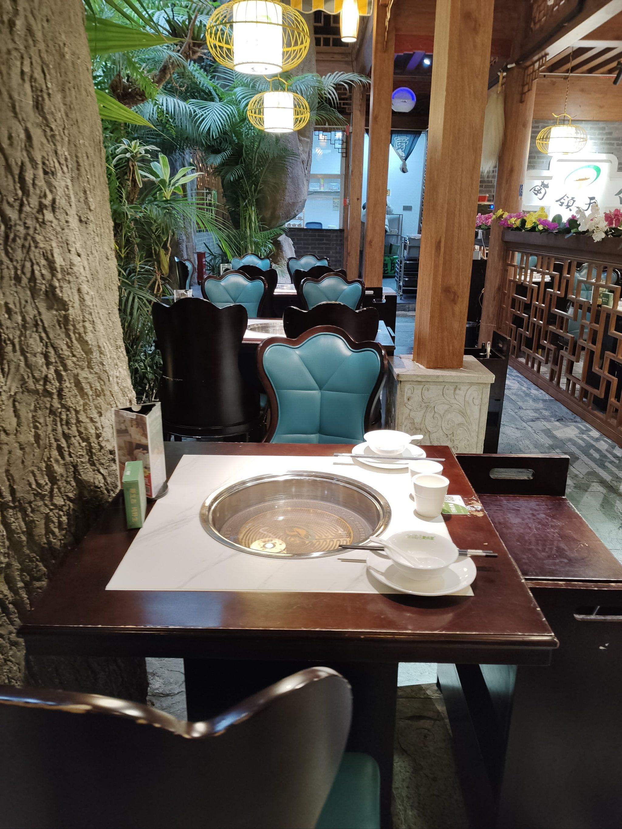 形态特征:子实体肉质,呈喇叭形,颜色为杏