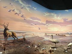 -中国湿地博物馆