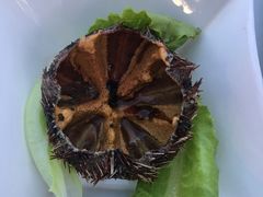 -仙本那渔人码头餐厅