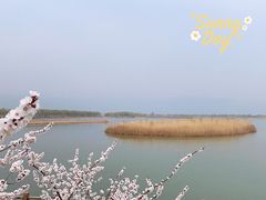 -野鸭湖国家湿地公园