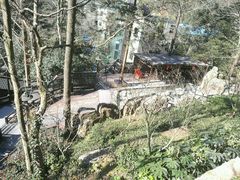 -天明山温泉大酒店