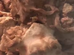 -洪记白水羊头(天坛店)