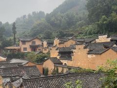 -杨家堂村