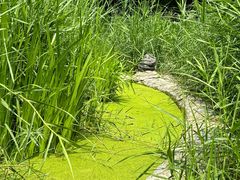 -成都市活水公园