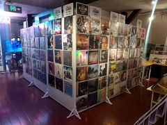 -树懒黑胶唱片店(中山路店)