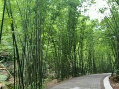 -四洞沟景区