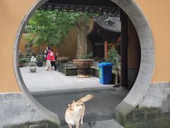 -灵谷景区