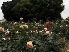 -人民公园(罗湖区)