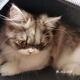 带闺女出游