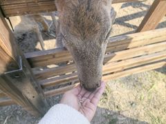 -烟水渔庄餐厅(西溪湿地店)