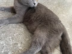 -NOTOOCAFE不二咖啡馆(岩前店)