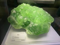 -湖南省地质博物馆